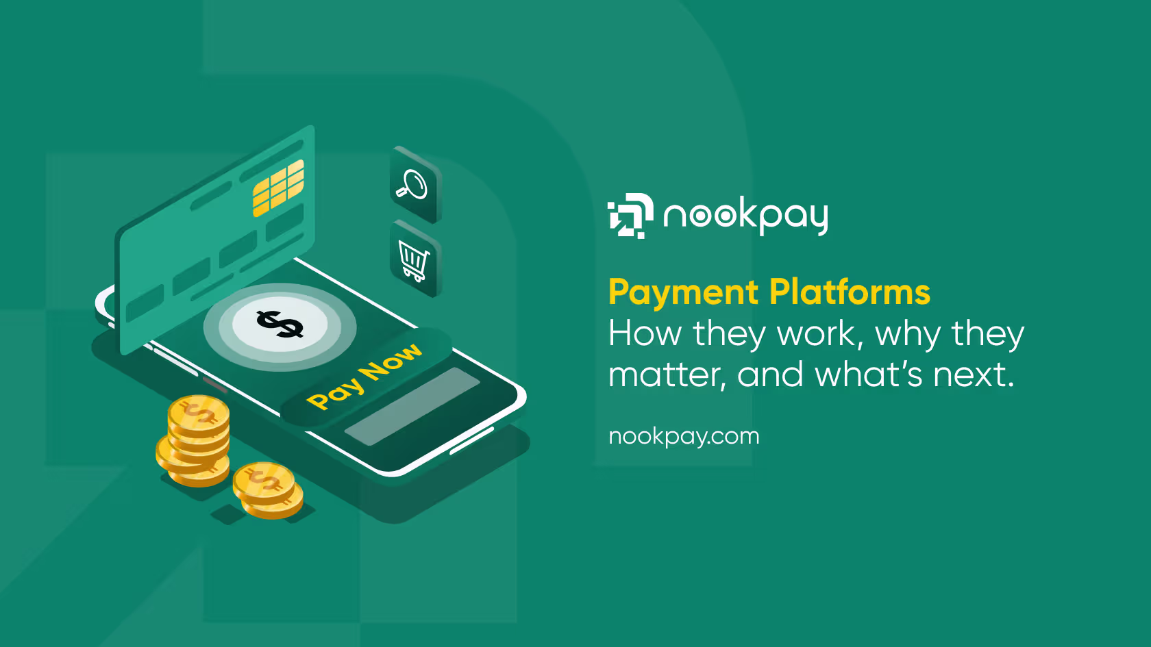 Payment Platforms Explained